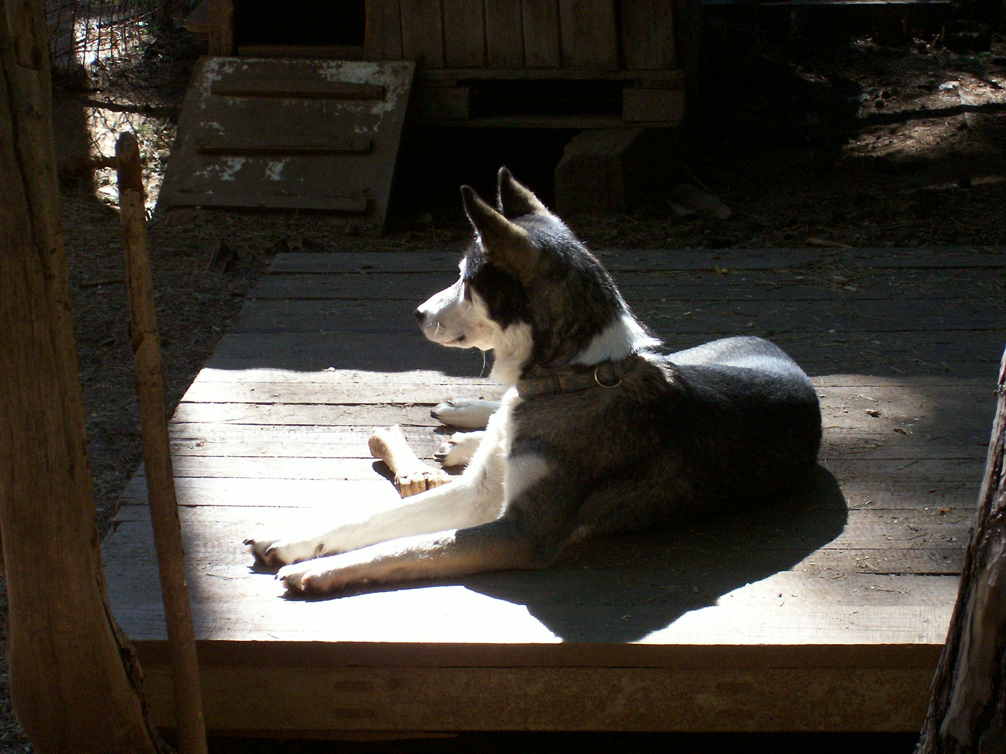 Snímek 060.jpg